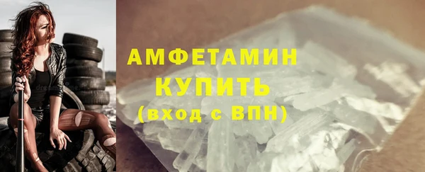 шишки Елизово